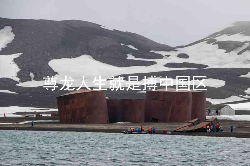 尊龙人生就是搏中国区