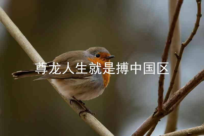 尊龙人生就是搏中国区